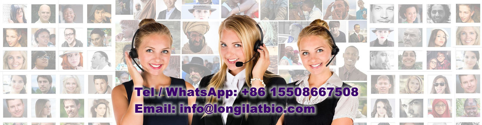 品質 GS-441524 工場