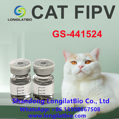 反FIP Remdesivir FIPの処置猫FIP GS 441 20mg/ML