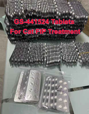 GS-441 GS441 Tablets GS441524 Pills for Cat Fip Treatments with Best Price