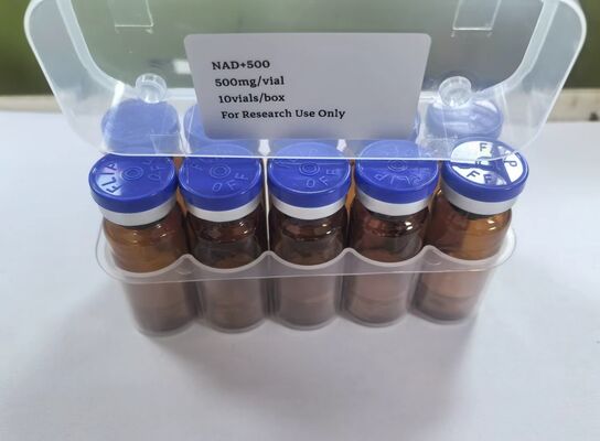 高純度 NAD+ 凍結乾燥バイアル 500mg NAD 注射用粉末、エネルギーとアンチエイジングのサポート用
