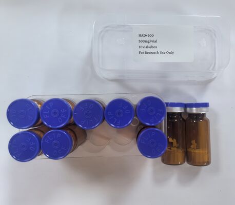 高純度 NAD+ 凍結乾燥バイアル 500mg NAD 注射用粉末、エネルギーとアンチエイジングのサポート用