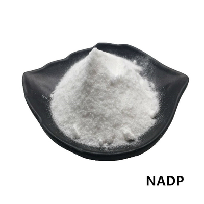CASは1184-16-3のNADP 99%のベータ ニコチンアミド アデニン ジヌクレオチドの隣酸塩を粉にする
