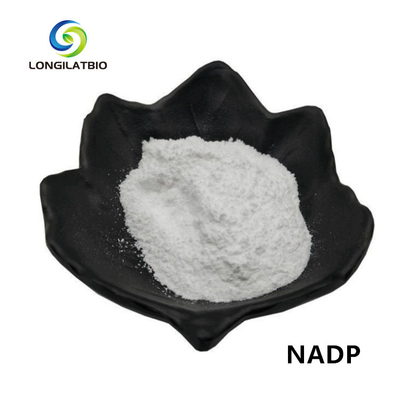 NADPH+の粉のベータ ニコチン酸アミドのアデニン ジヌクレオチドの隣酸塩